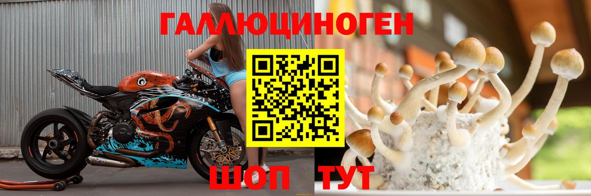 Псилоцибиновые грибы прущие грибы Надым