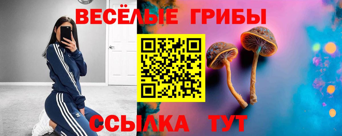 Галлюциногенные грибы прущие грибы  Вход с VPN  наркошоп  Надым 